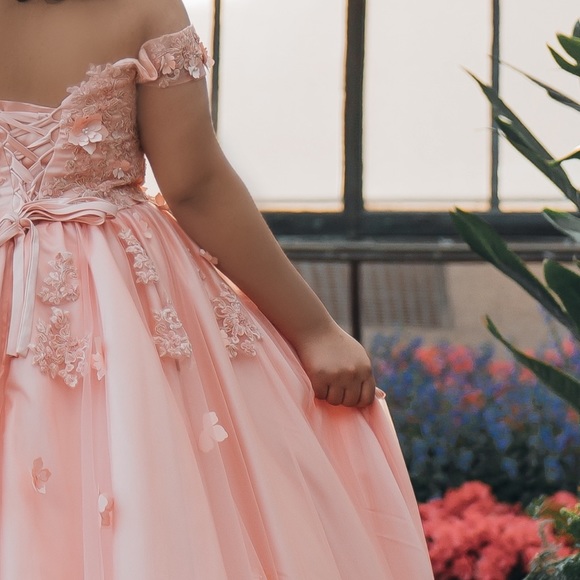 Quinceañera Dress- Formal gown-Blush Pink-PETTICOAT INCLUDED - Picture 4 of 7